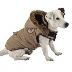 manteau bobby pour chien