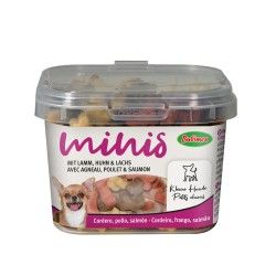 Boîte friandises pour petits chiens MINIS