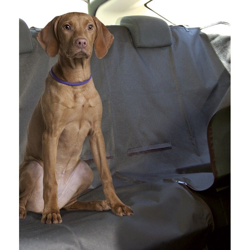 Protection voiture chien : Lavable et resistante