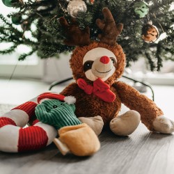 Peluche sucre d’orge de Noël sans couineur, jouet silencieux pour chien | Grossiste animalerie
