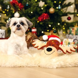 Botte de Noël avec peluche os, jouet chien et chat | Grossiste animalerie