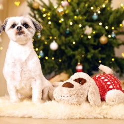 Peluche chien Comet pull de Noël avec puce sonore, grand jouet pour chien | Grossiste animalerie