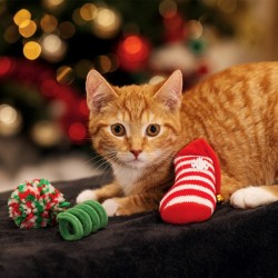 Lot de 3 jouets pour chat : balle, spirale, chaussette | Grossiste animalerie