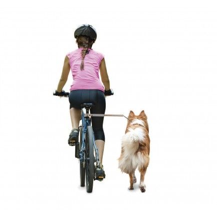 Accessoires pour faire du vélo avec votre chien