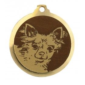 Médaille gravée en laiton Chihuahua