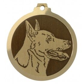 Médaille gravée en laiton Dogue de canaan