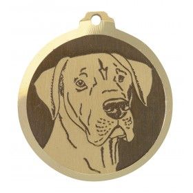 Médaille gravée en laiton Dogue allemand onc