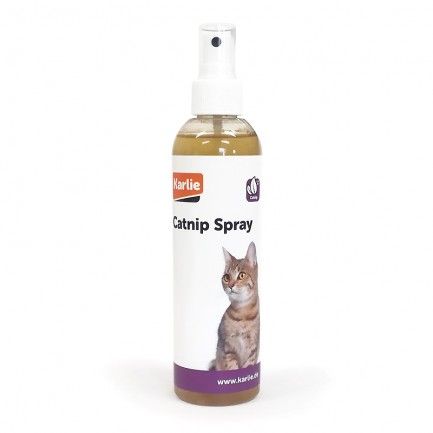 Spray herbe aux chats (Catnip)